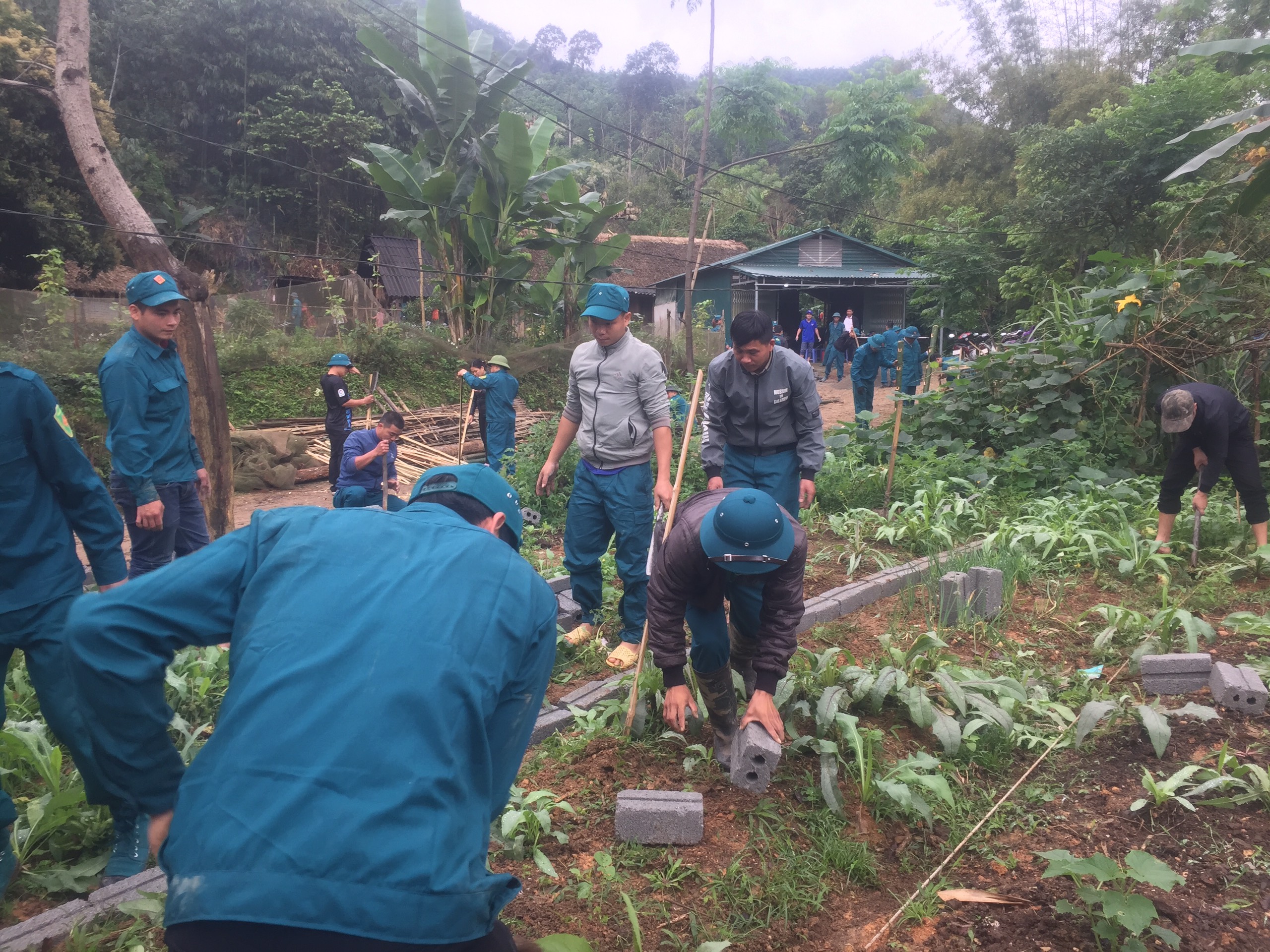 Xã Hữu Sản tổ chức lao động cộng sản hỗ trợ hộ nghèo cải tạo vườn tạp